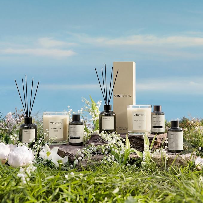 VINEVIDA | Summer Breeze | Reed Diffuser for Home & Bathroom | Long-Lasting Scent Sticks Set | Oil Stick Diffuser | Bathroom Scent
