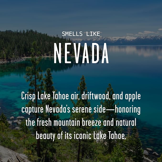 Nevada Gifts, Nevada Decor for Home - 'There's No Place Like Nevada Candle, w/Crisp Lake Tahoe Air, Driftwood & Apple I Nevada Souvenirs I Nevada State Gifts I 9oz Jar, 50Hr Burn, USA Made