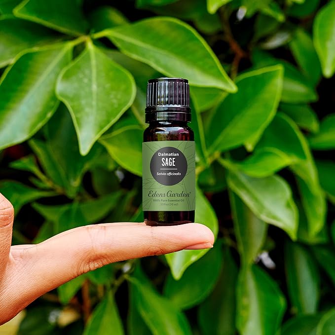 Edens Garden Sage- Dalmation Essential Oil- 100% Pure Premium Grade, Undiluted, Natural, Therapeutic, Aromatherapy, The Best for Candle, Laundry, Humidifiers 10 ml (.33 fl oz)