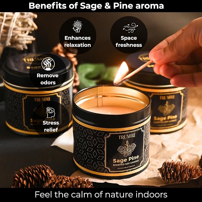 Sage & Pine Candle Strong Scented Soy Candel Natural Non Toxic Velas Aromáticas for Home Gift for Fall Christmas Holidays Pack of 3 5Oz Decorative Tin Jars with Lids