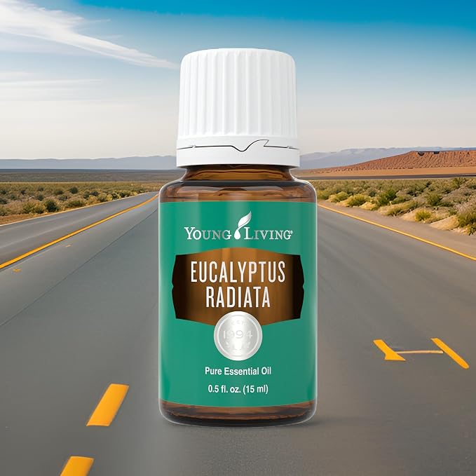 Young Living Eucalyptus Radiata Essential Oil - 15 ml - Breathe Easy with Refreshing Aroma - Ideal for Relaxing Bedtime Routine and Head, Neck, Chest Application