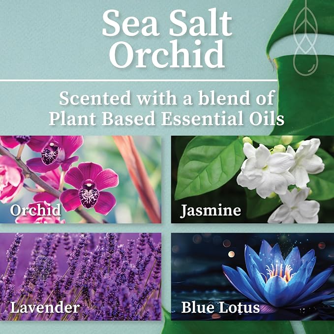 Hemlock Park Sea Salt Orchid Apothecary Scented Candle | Crackling Wood Wick, Botanical Fragrance & Coconut Apricot Wax | Up to 80 Hour Burn Time | 16 oz | Made in USA