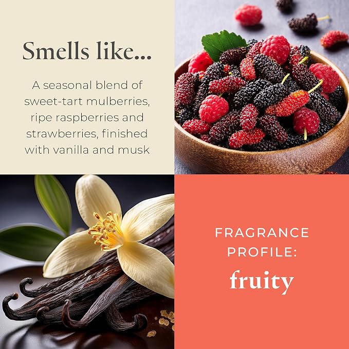 PartyLite Mulberry Scented Escential Jar™ Candle, Black Currant, BlackBerry, Mulberry & Pomegranate, 7.75oz, 1-Wick Aromatherapy Glass Jar, Reusable, 50 Hour Burn Time