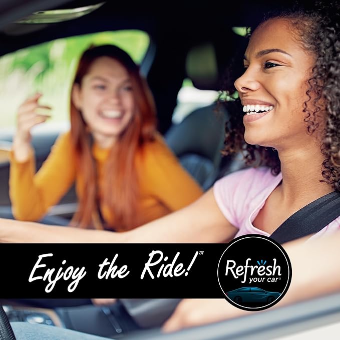 Refresh Your Car! Air Freshener (Alpine Meadow/Summer Breeze Scent, 2 Pack)