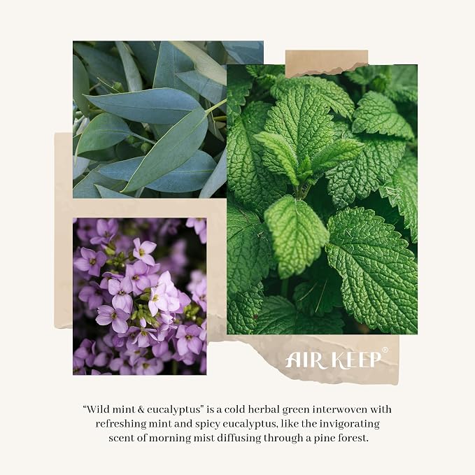 Airkeep Flower Reed Diffusers Set, 5.07 oz Wild Mint&Eucalyptus Scented Oil Diffuser with 8 Reed Sticks, Home Fragrance Diffuser Gift Set for Bathroom & Office Decor 150ml