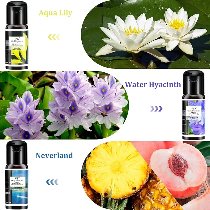 Reborn Essential Oils Set, 6x15ml Fragrance Oils Kit for Diffuser, Humidifier, Aromatherapy, Air Purifier - Aqua Lily, Water Hyacinth, Breathe Easy, Ocean Mist, Neverland, Lavender
