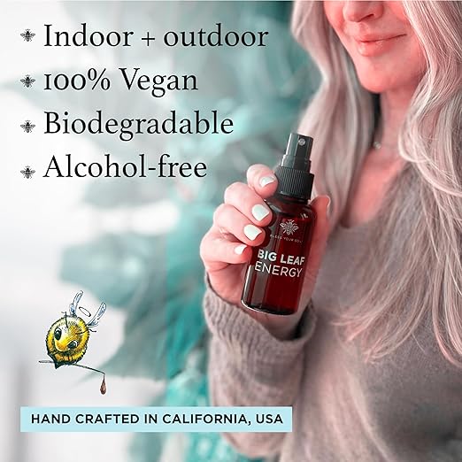Neem Oil Spray for Plants – Big Leaf Energy, with Essential Oils – Ready-to-Use Plant Spray for Outdoor & Indoor Plants, Made in USA (4 fl oz)
