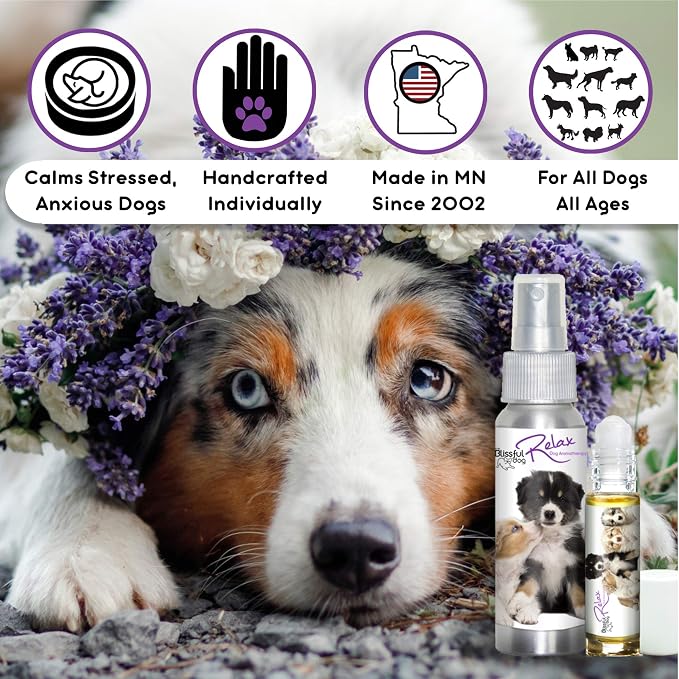 The Blissful Dog Australian Shepard Relax Dog Aromatherapy Spray for Your Dog's Anxiety