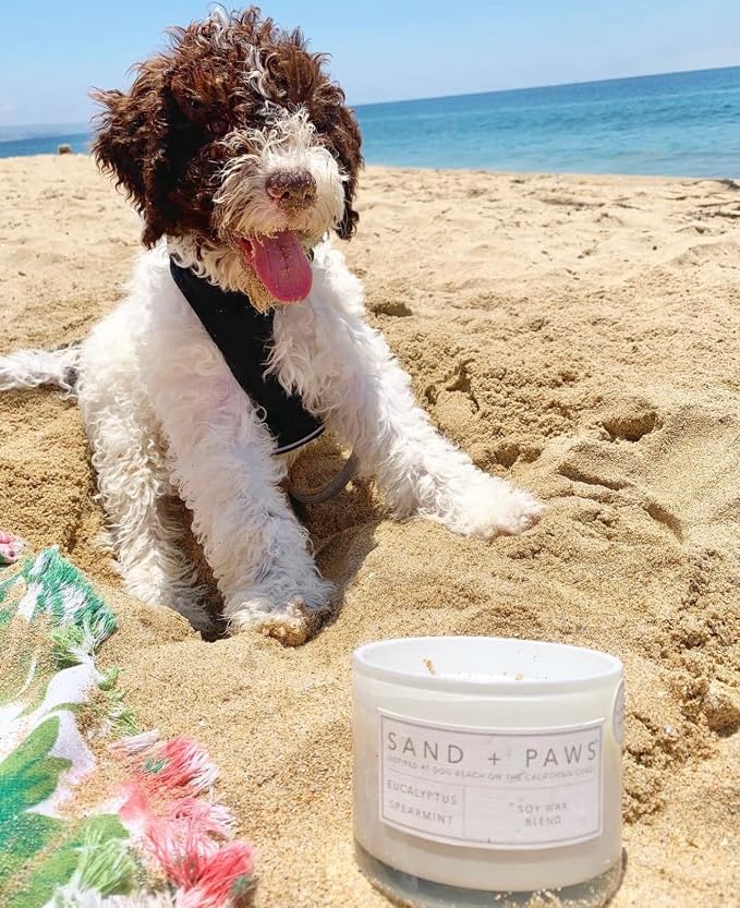 Sand + Paws Scented Candle - Apple Spice - Additional Scents and Sizes –Luxurious Air Freshening Jar Candles Neutralize pet Odors and Enhance Home décor – 100% Cotton Lead-Free Wicks - 21 oz