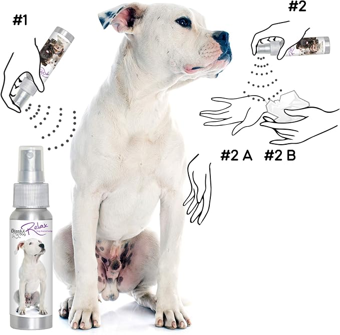 The Blissful Dog Dogo Argentino Relax Dog Aromatherapy Spray for Your Dog's Anxiety