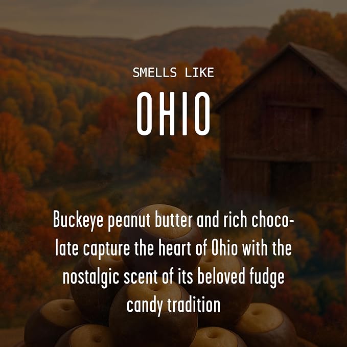 Ohio Gifts, Ohio Decor for Home - 'There's No Place Like Ohio Candle, w/Buckeye Peanut Butter Donuts I Ohio Souvenirs I Ohio State Gifts I 9oz Jar, 50Hr Burn, USA Made