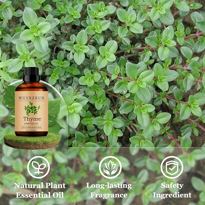 Thyme Essential Oils 60ML, Pure Thyme Essential Oil for Aromatherapy Diffuser - 2 Fl Oz