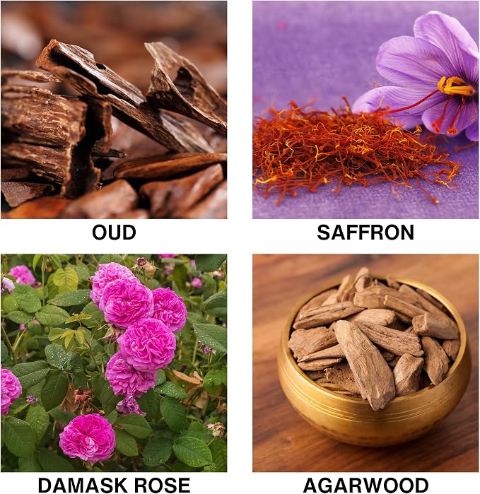 Mystic Rosewood Scent Reed Diffuser for Bathroom – Bathroom Diffuser with Sticks – Long-Lasting Scent with Oud, Damask Rose & Saffron Home Fragrance Decor – 150ml