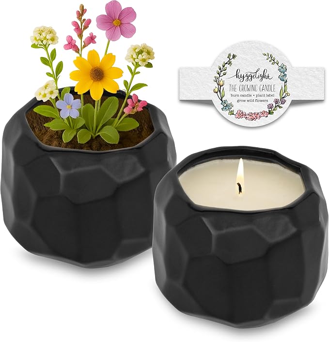 Hyggelight - The Growing Candle, Rosemary & Sage Scent, 13oz Ceramic Pot, Single Wick Aromatherapy Candles, 100% Soy for Women and Men, Emma