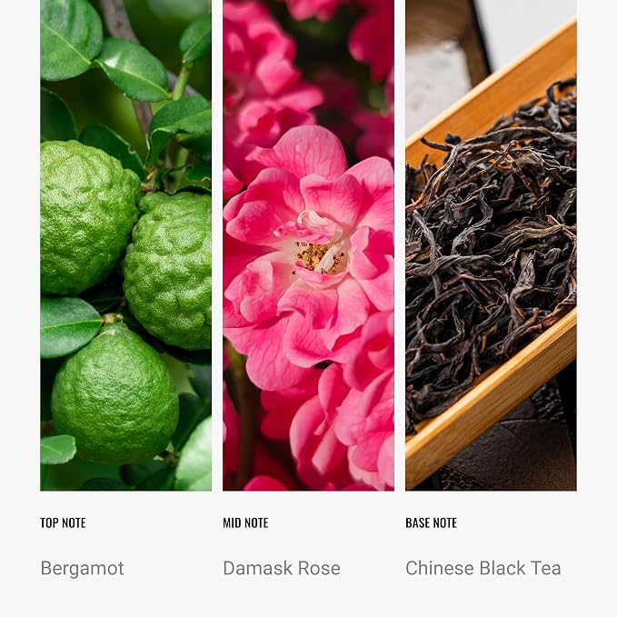Hotel Collection - Jedi Chauffeur Car Diffuser Oil - Light Side Luxury Essential Car Diffuser Oil - Bergamot Damask Rose Chinese Black Tea - 20ml