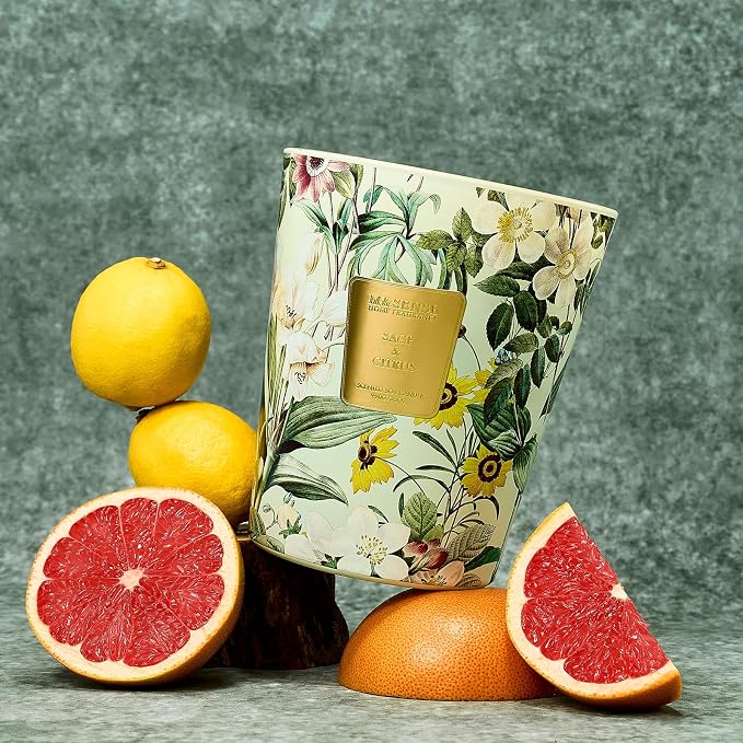 M&SENSE Sage Citrus Summer Scented Candle, 14.1oz Non Toxic Natural Soy Wax Candle for Home, 60 Hours Long Lasting Aromatherapy Candle for Stress Relief, Fresh Smelling Candle Gifts for Bathroom Decor