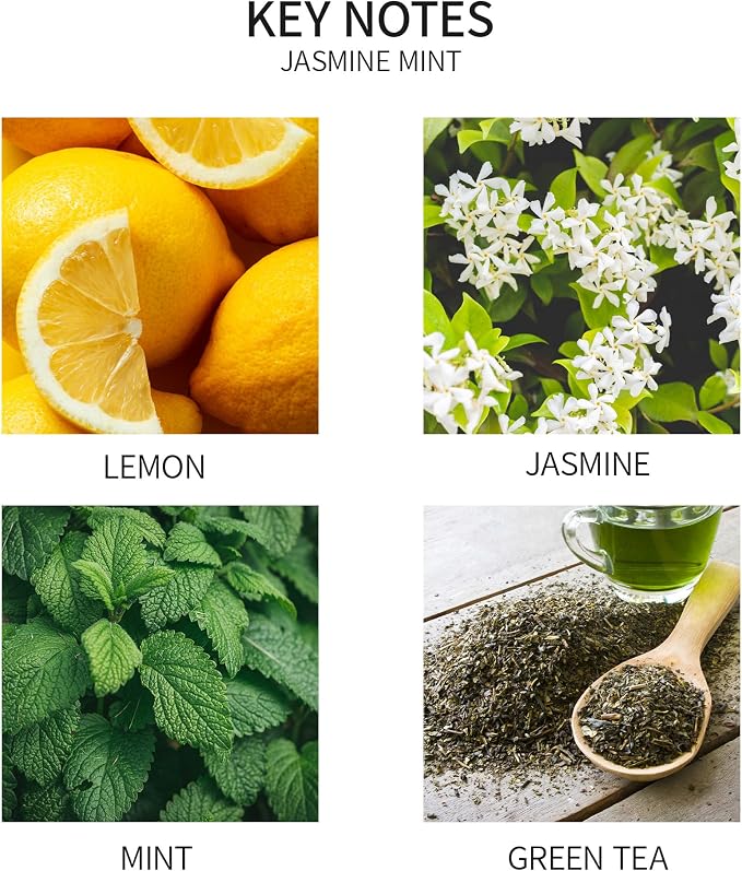 Airkeep Reed Diffuser Oil Refill with Diffuser Sticks, 6.76 Fl Oz(200ml) Jasmine Mint Scented Oils, Aroma Therapy, Home Fragrance & Air Freshener, Office Décor, Decoration