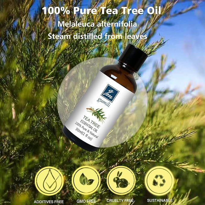 GM Gumili Tea Tree Oil for Skin, Hair, Nails, Face Body Wash, Foot Soak, Spray, 100% Pure Tea Tree Essential Oil - 30ml