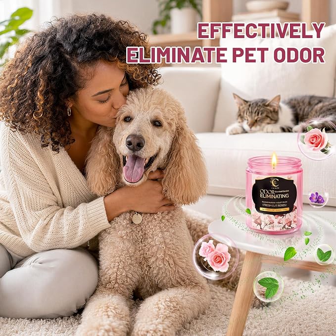 Rose Odor Eliminating Candles, Pet Scented Candles for Home, Single Wick Soy Candle Gifts for Women, Men, Ideal for Creating Relaxing Atmosphere, Over 50 Hours of Burn Time