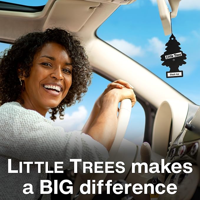 LITTLE TREES Car Air Freshener | Hanging Tree Provides Long Lasting Scent for Auto and Home | 24 Air Fresheners |Cinnamon Apple