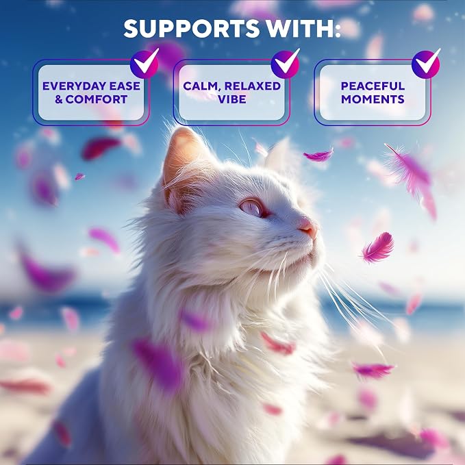 Beloved Pets Cat Calming Diffuser & Pet Anti Anxiety Products - Feline Calm Pheromones Plug in & Cats Stress Relief Comfort Helps with Pee, New Zone, Aggression (2 Pack (2 Diffusers + 2 Refills))