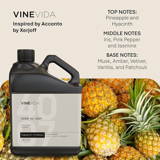 VINEVIDA [128 Oz] Inspired by: Accento; Diffuser Oil Refill | Premium Scent Diffuser Oil for Home | Non-Toxic Fragrance