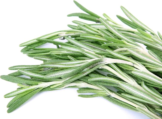 ArOmis Organic Rosemary Essential Oil - 100% Pure Therapeutic Grade - Undiluted, Premium Oil - 150 Micron Filtered, Perfect for Aromatherapy Diffusers (10ml / 0.34 fl oz)