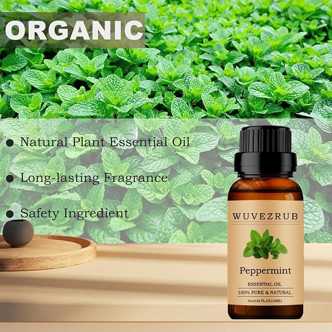 Peppermint Essential Oils 10ML, 100% Pure and Natural Essential Oil for Aromatherapy Diffuser - 0.33 Fl Oz/Peppermint