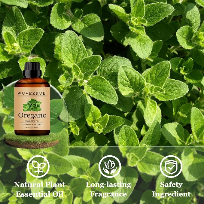 Oregano Essential Oils 120ML, Pure Oregano Essential Oil for Aromatherapy Diffuser - 4 Fl Oz
