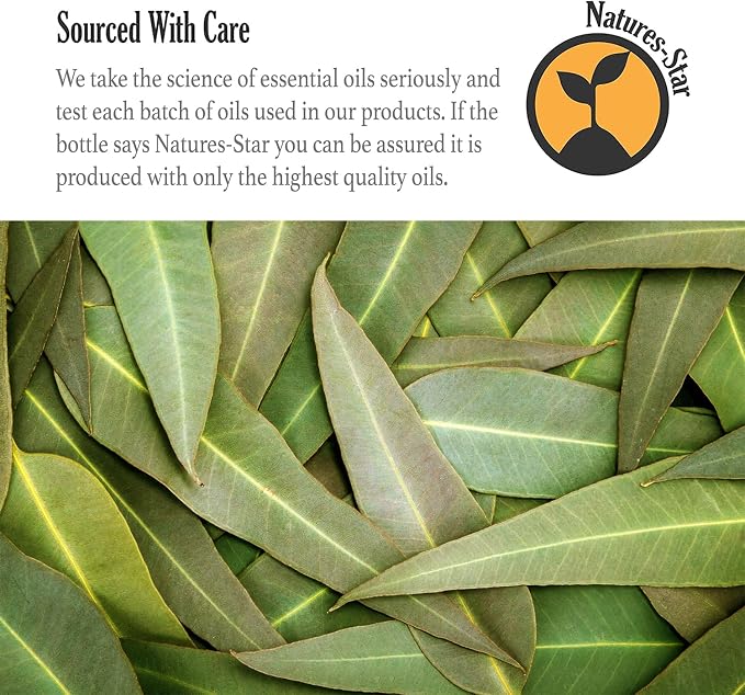 Natures-Star 16oz Eucalyptus Essential Oil, Therapeutic Grade, Candle Making, Candle Scents, Soap Making, Aromatherapy Oil - Eucalyptus Scent
