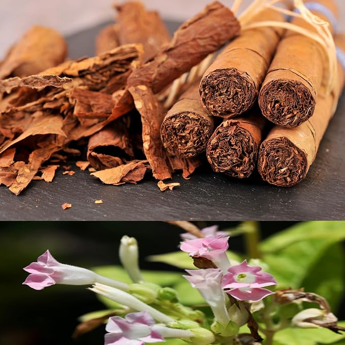 100% Soy, Highly Scented, Hand Poured Soy Candle (Tobacco Leaf & Tobacco Blossom (Wooden Wick))