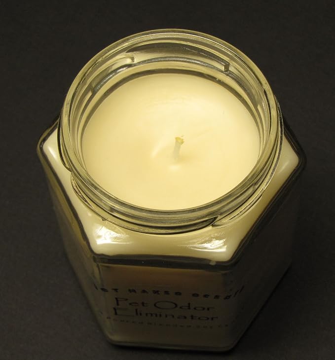 Pet Odor Eliminator Candle - Odor Eliminating Candles for Home - Neutralizes Cigarette, Food, and Pet Smells | Natural Soy Wax Candle, Hand Poured in The USA