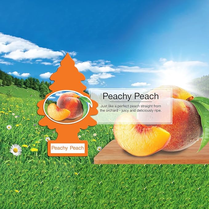 Little Trees Cardboard Hanging Car, Home & Office Air Freshener, Peachy Peach (Pack of 6)