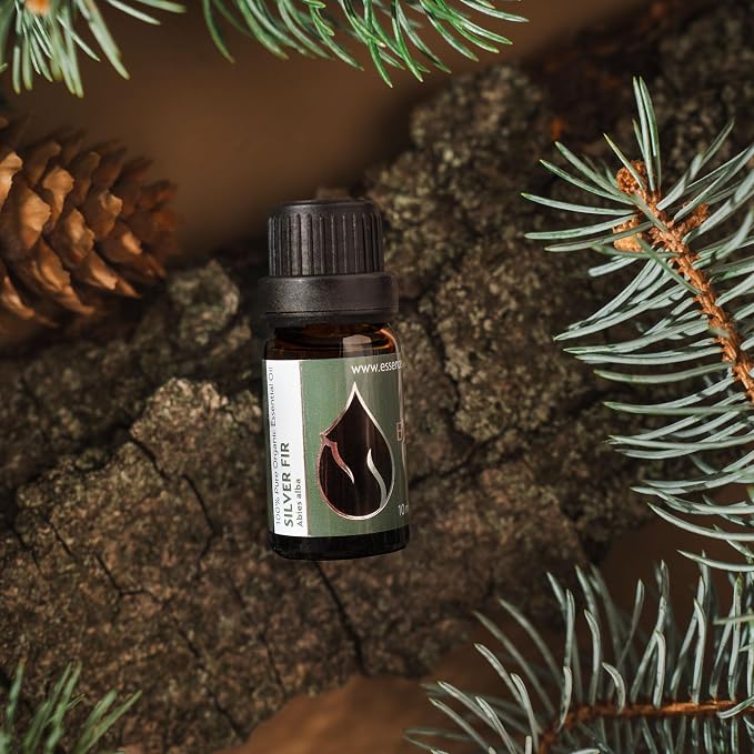 Essences Bulgaria Organic Silver Fir Essential Oil 1/3 Fl Oz | 10ml | Abies alba | 100% Pure and Natural | Undiluted | Therapeutic Grade | Family Owned Farm | Steam-Distilled | Non-GMO | Vegan