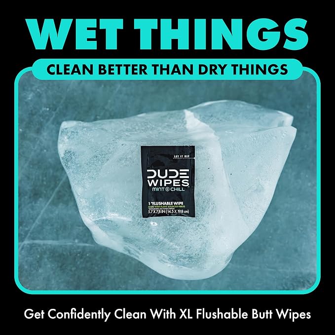 DUDE Wipes On-The-Go Mint Chill Travel Wipes-Extra-Large Adult Flushable Wipes - Infused with Tea Tree Oil, Vitamin E, and Aloe - Septic and Sewer Safe,30 Count (Pack of 4)