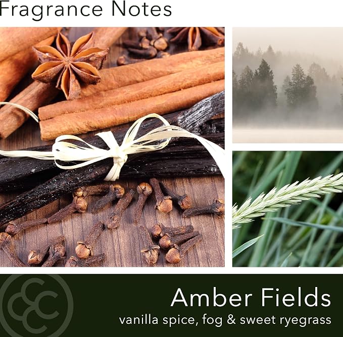 Colonial Candle Amber Fields Scented Candle, 2-Wick Natural Soy Blend Wax Candle Infused with Essential Oils, 14 oz Apothecary Glass Jar Candle - Made in The USA