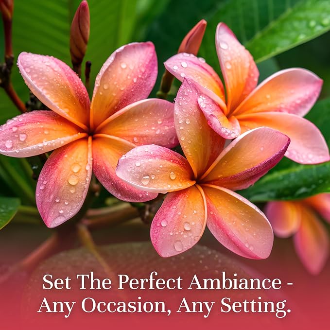 P&J Trading Fragrance Oil | Plumeria Oil 100ml - Candle Scents for Candle Making, Freshie Scents, Soap Making Supplies, Diffuser Oil Scents