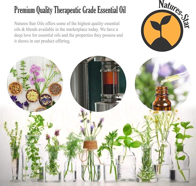 Natures-Star 16oz Eucalyptus Essential Oil, Therapeutic Grade, Candle Making, Candle Scents, Soap Making, Aromatherapy Oil - Eucalyptus Scent