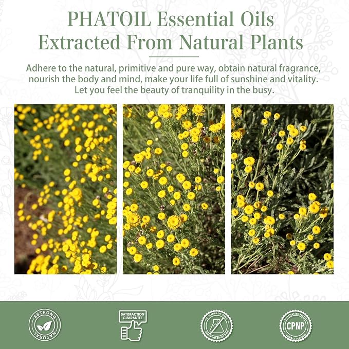 Helichrysum 1.01fl.oz Essential Oil, PHATOIL Pure Aromatherapy Oils for Diffuser, Humidifier, Perfect for DIY Soap, Candle, Bath Bombs Making(30ml)