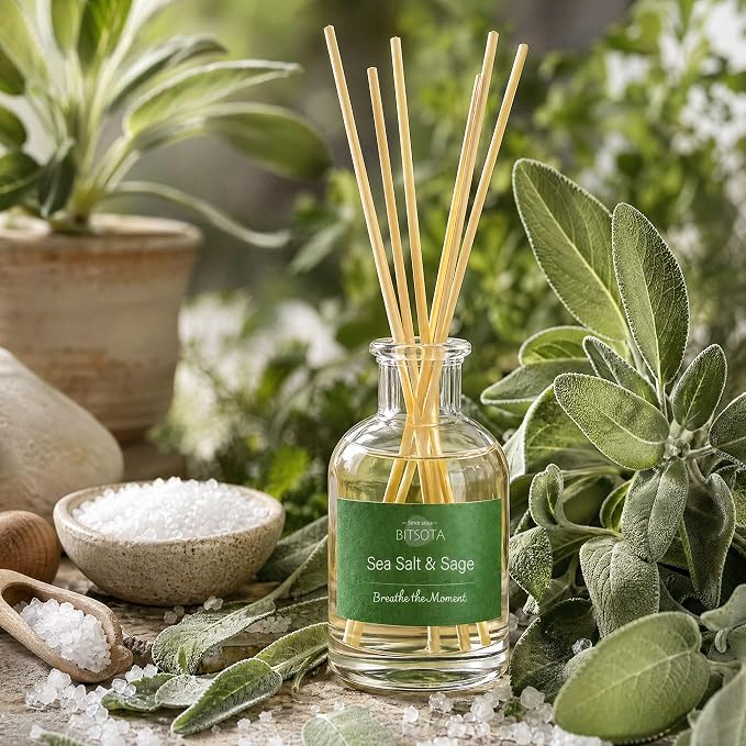 Natural Reed Diffuser Set, Sea Salt & Sage 3.52 oz (100ml) Scented Diffuser with Sticks Home Fragrance Reed Diffuser for Bathroom Shelf Decor, Ideal Gift for Woman