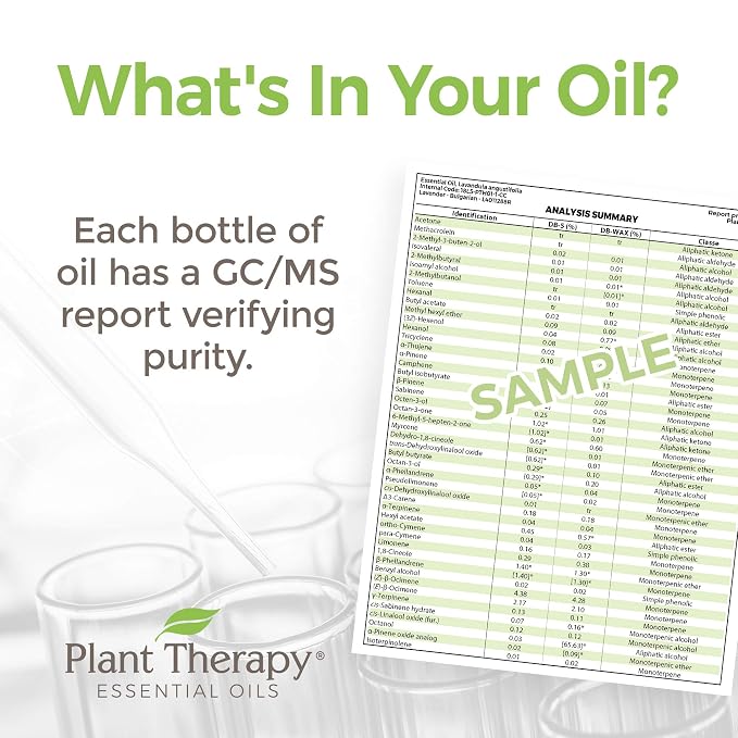 Plant Therapy KidSafe Study Time Essential Oil Blend 10 mL (1/3 oz), 100% Pure, Undiluted, Aromatherapy for Focus, Mind Calming, Concentration Blend for Kids