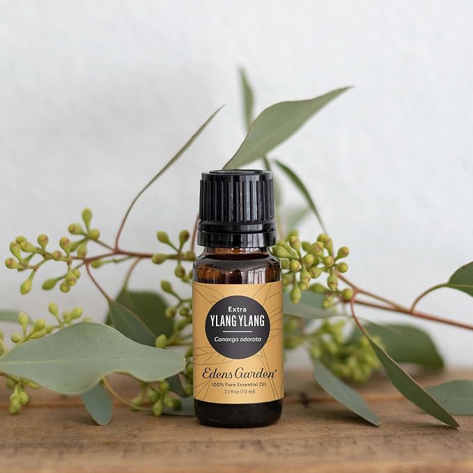 Edens Garden Ylang Ylang- Extra Essential Oil- 100% Pure Premium Grade, Undiluted, Natural, Therapeutic, Aromatherapy, The Best for Diffuser, Candle, Laundry, Hair 10 ml (.33 fl oz)