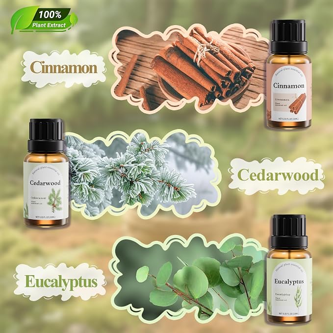 Essential Oils Set for Diffuser, 6 x 10ml Aromatherapy Oils for Home | Scents of Cedarwood, Cinnamon, Citronella, Eucalyptus, Bergamot, Grapefruit Oils for Bedroom, Office & DIY