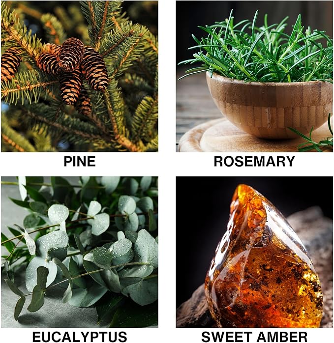 Misty Pines Scent Reed Diffuser Refill, Premium Essential Oils, 150ml/5.07 fl oz, Long-Lasting 8-12 Weeks
