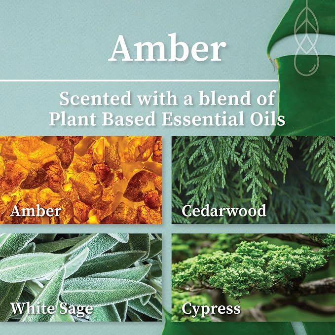 Hemlock Park Amber Apothecary Scented Candle | Crackling Wood Wick, Botanical Fragrance & Coconut Apricot Wax | Up to 80 Hour Burn Time | 16 oz | Made in USA