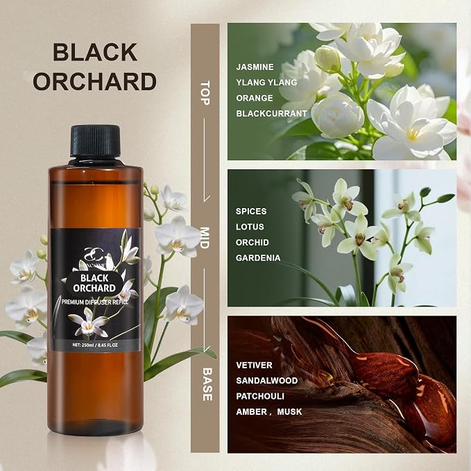 Diffuser Oil Refill, 250ml / 8.45 fl oz, Black Orchard - Reed Diffuser Oil Refill for Home Fragrance, Scented Oil for Reed Diffuser Bottles, Jasmine, Sandalwood & Musk Notes