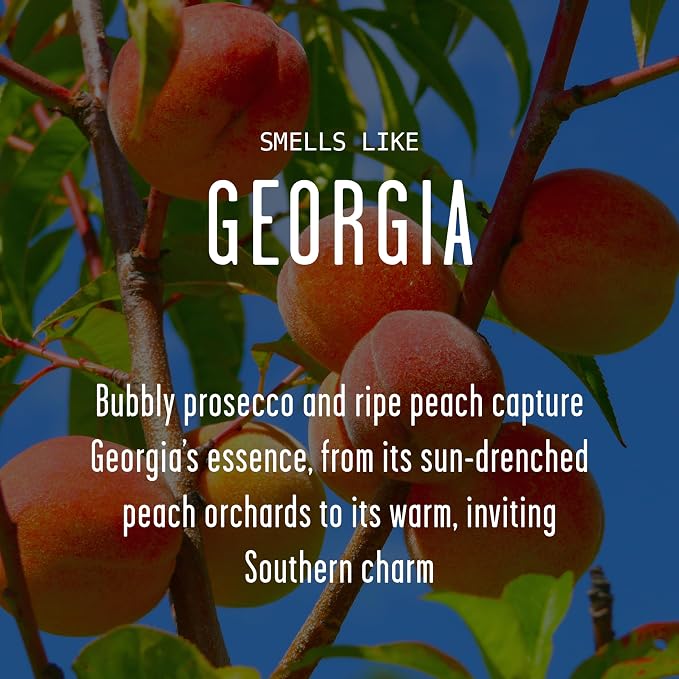 Georgia Gifts, Georgia Decor for Home - 'There's No Place Like Georgia Candle, w/Bubbly Prosecco & Juicy Peach I Georgia Souvenirs I Georgia State Gifts I 9oz Jar, 50Hr Burn, USA Made