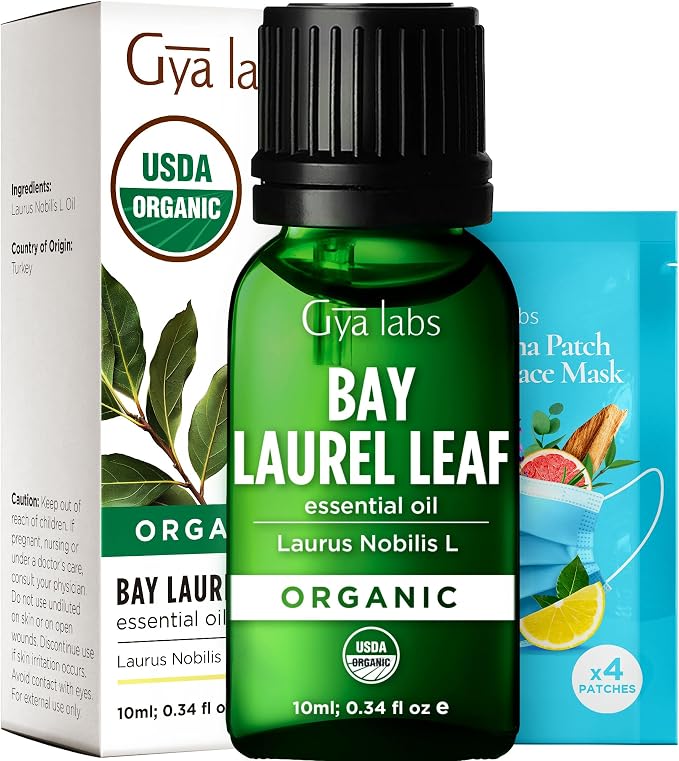 Gya Labs USDA Certified Organic Bay Leaf Essential Oil for Massages, Skin, Hair, Diffuser, Aromatherapy, DIY Candle Making Scents - 0.34 Fl Oz