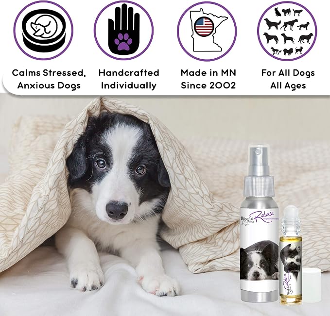 The Blissful Dog Border Collie Relax Dog Aromatherapy Spray for Your Dog's Anxiety