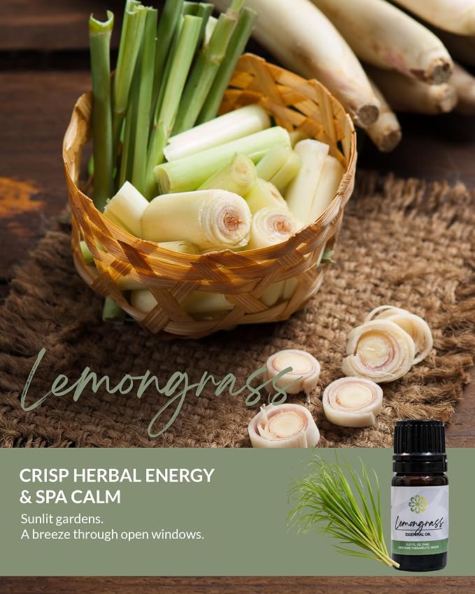 Essence Pearl Travel Case | Lemongrass Essential Oil | Aromatherapy Nasal Diffuser & Essential Oil Carrying Case | Refreshing Lemongrass Scent | Travel-Friendly Kit | Black Pod